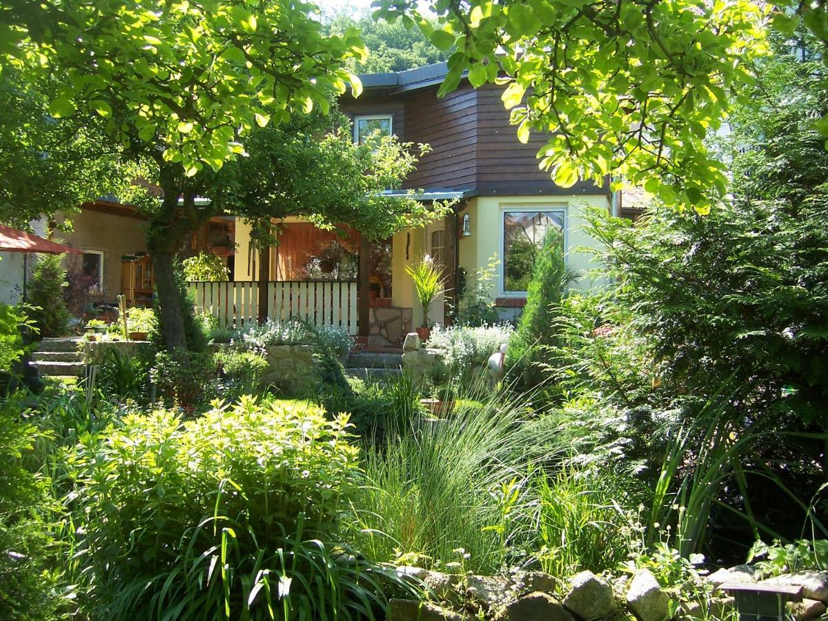 Ferienhaus Hagenwinkel Gernrode  Εξωτερικό φωτογραφία