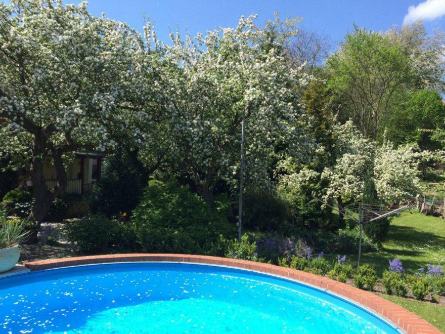 Ferienhaus Hagenwinkel Gernrode  Εξωτερικό φωτογραφία